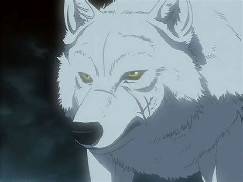 Wolf S Rain Image Kiba Wolf’s Rain Wolf S Rain Kiba Anime Wolf
