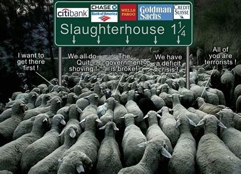 Brainwashed Sheeple Are All Too Happy To Be Led To Slaughter They Baa