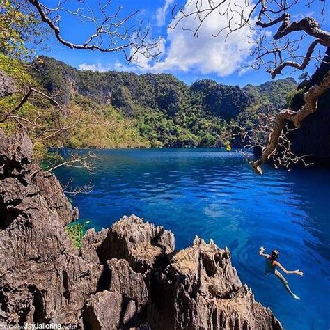 Barracuda Lake Coron Palawan Philippines Photo By The Master