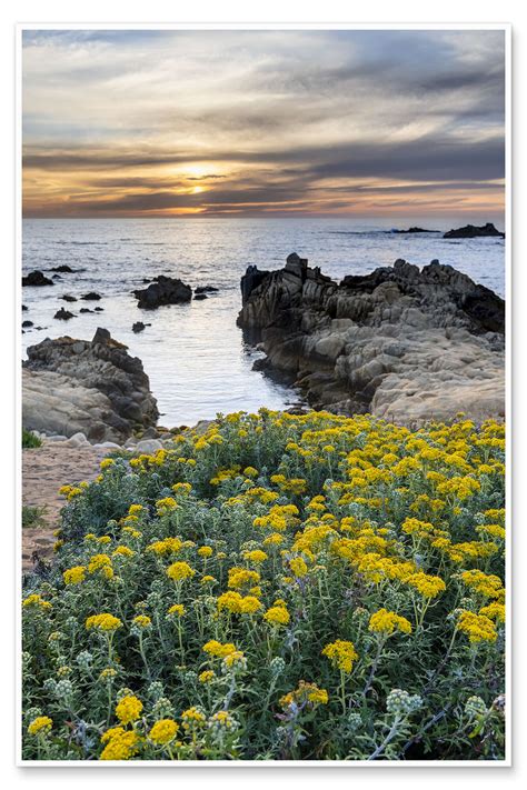 Sunset In Monterey Bay Print By Sheila Haddad Posterlounge