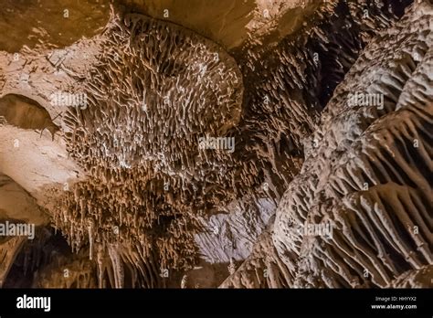 Cave Shield Covered With Soda Straws In Lehman Caves In Great Basin