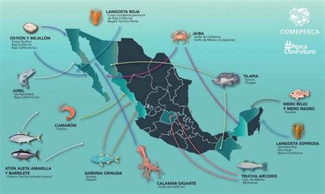 México El Potencial Productivo De Alimentos Facetas De México Gaceta