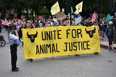 Animal Rights Activists Will Today Come Together For The National