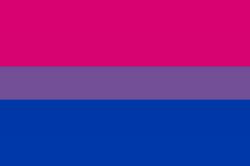 Come and say hi on the official r/bisexual partnered discord server. Bisexual pride flag