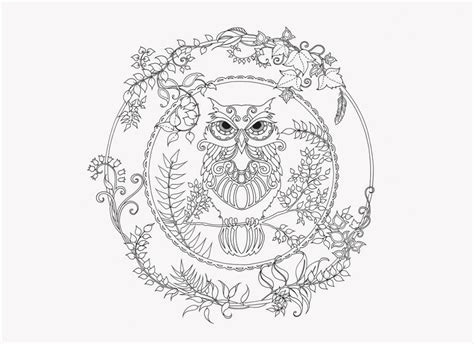 We did not find results for: Enchanted Forest: 20 Postcards - Laurence King US | Owl ...