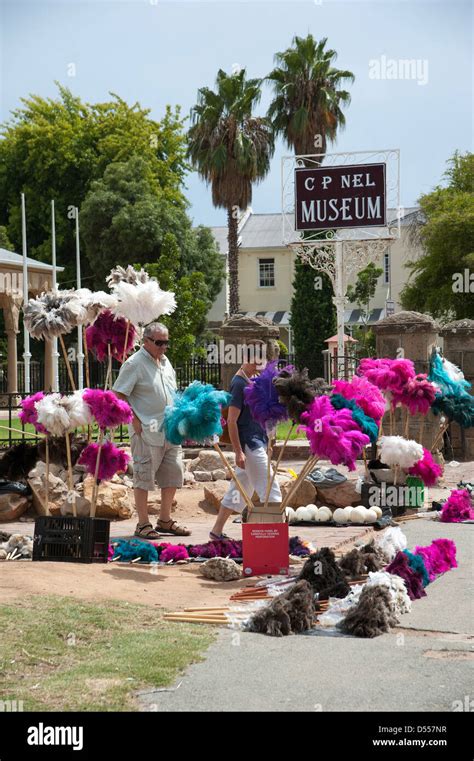 Ostrich Feather Seller Outside The C P Nel Museum In Oudtshoorn South