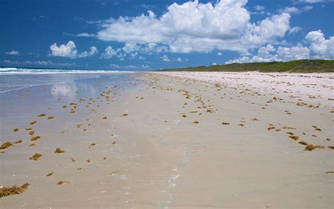Nude Playalinda Beach Canaveral National Seashore Telegraph