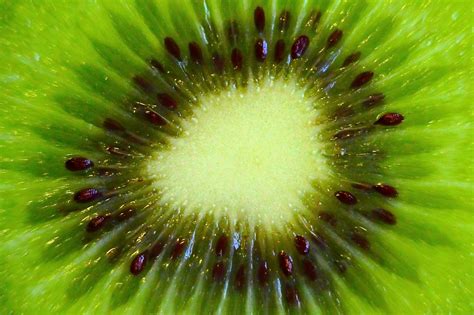 Close Up Photo Of Green Fruit With Black Seeds Hd Wallpaper Wallpaper