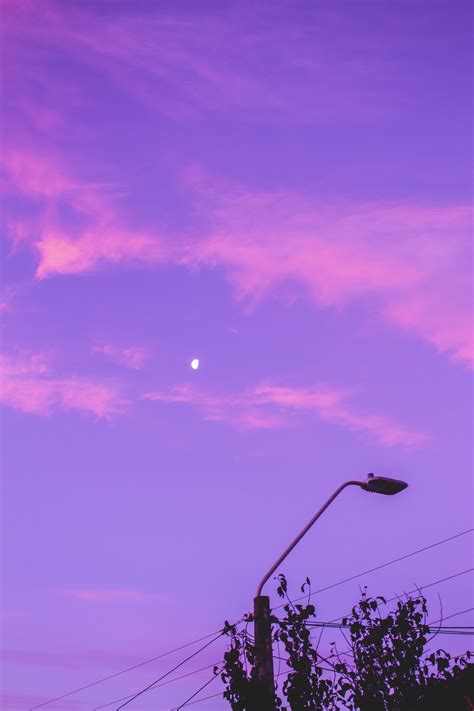 750 Purple Aesthetic Pictures Download Free Images On Unsplash