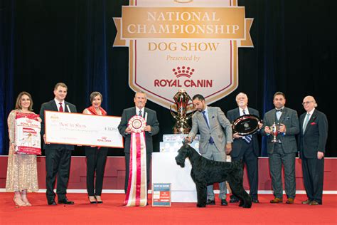 Akc National Championship Presented By Royal Canin American Kennel Club