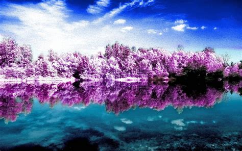 Pink Scenery Wallpapers Top Free Pink Scenery Backgrounds