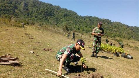 Lapor spt, bupati tts himbau untuk terus melakukan kewajiban perpajakan. Dandim TTU Pimpin Anggotanya Tanam 5.000 Anakan Mahoni dan ...