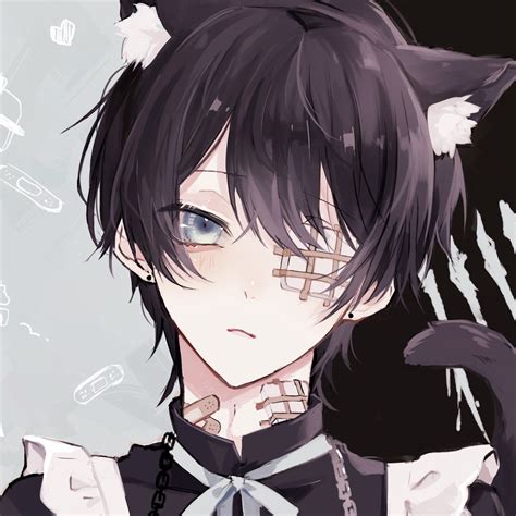 🐼飴宮86＋ﾞ🍬 On Twitter Anime Cat Boy Cute Anime Boy Cute Anime Guys