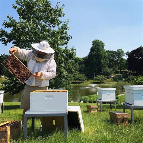 Beekeeping For Bee Ginners 5 Class Course Green Wood