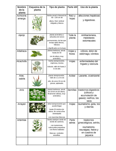Cuadro Comparativodocx Plantas Medicinales Medicamentos Con Receta