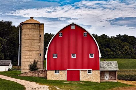 Pest control in winder ga. Farm Building Bird Repellent | Non-Lethal Bird Control