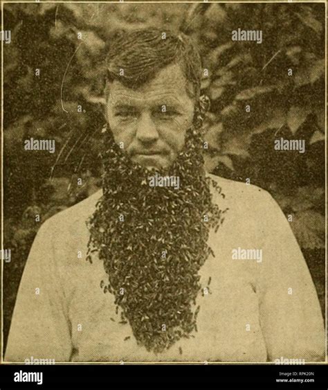 American Bee Journal Bee Culture Bees 1919 American Bee Journal