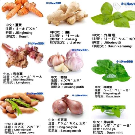 Kosakata mandarin tentang nama sayuran (chinese vocabulary about vegetable name). Sayur-sayuran dalam bahasa mandarin lengkap dengan ...