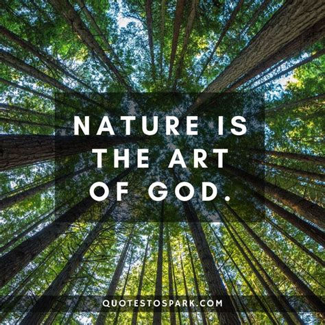 Best Nature Quotes To Understand Its Importance