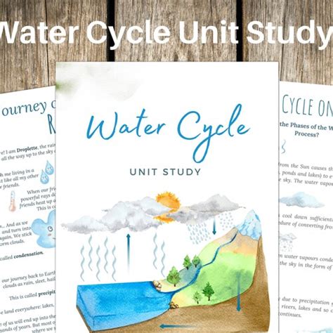 Water Cycle Unit Study Process Nature Study Science Etsy