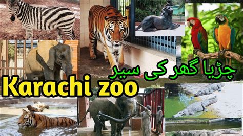 Karachi Zooa Visit Of Karachi Zoo In 2022detailed Video Of Karachi