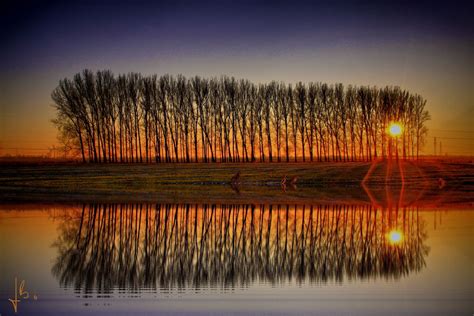 Determine the logical order of your presentation. relfection | Reflection photography, Example of reflection ...
