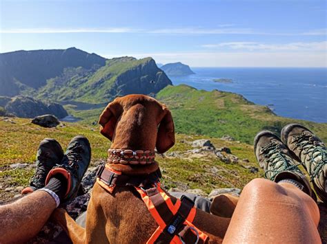 Dronningruta er en omtrent 15 km lang rundtur mellom de historiske fiskeværene stø og nyksund i øksnes kommune i vesterålen. Dronningruta - Königinroute / Vesteralen - ourworldoutside