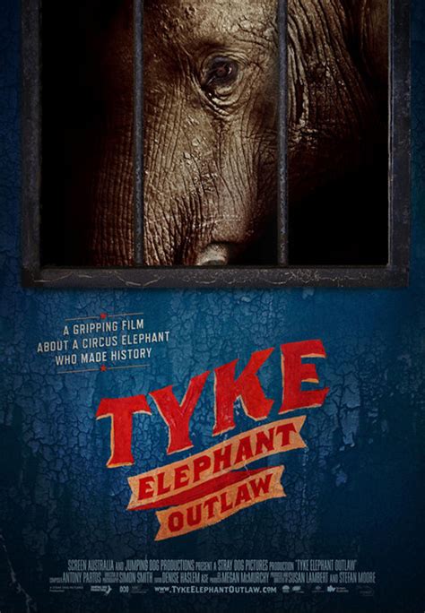Tyke Elephant Outlaw 2015