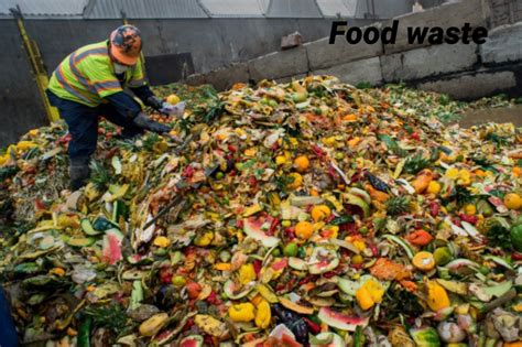 How To Produce Organic Fertilizers From Food Waste