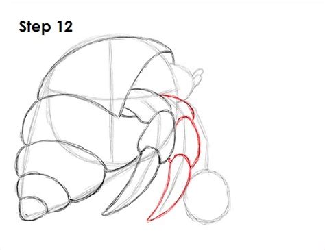 It is a wonderful way to teach kids about responsibility as they. How to Draw a Hermit Crab