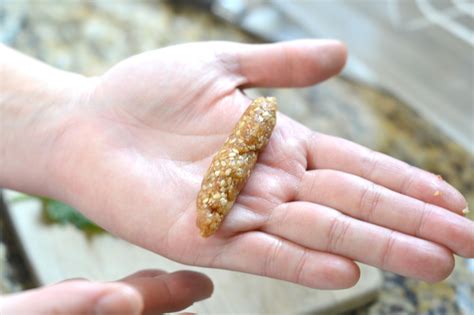 Besides good quality brands, you'll also find plenty of discounts when you shop for ultrasonic pest repeller during big sales. Show Me A Picture Of Squirrel Poop Knife - squirrel poop