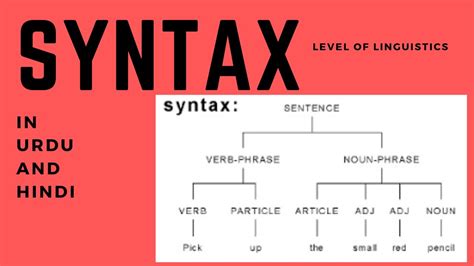Syntax Grammar Vs Syntax Types Of Sentence Level Of Linguistics