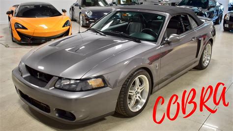 Baloths+any fetch land=infinite 4/4 beasts 5#lotus cobra=infinite mana 6#strip mine+crucible of worlds+exploration=destroy all. Infinite Auto Sales 2003 Ford Cobra Terminator 10th ...