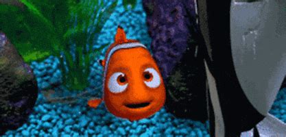 Finding Nemo Animation Gif By Disney Pixar Find Share On Giphy My XXX Hot Girl