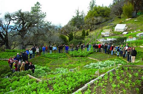 Scott and tume stanton had been living in willits for 15 years when they decided to turn their love of gardening into a business. Ecology Action: GROW BIOINTENSIVE!