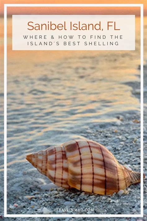 Hotels in or near sanibel island. Where to Find the Best Beaches for Shelling on Sanibel ...
