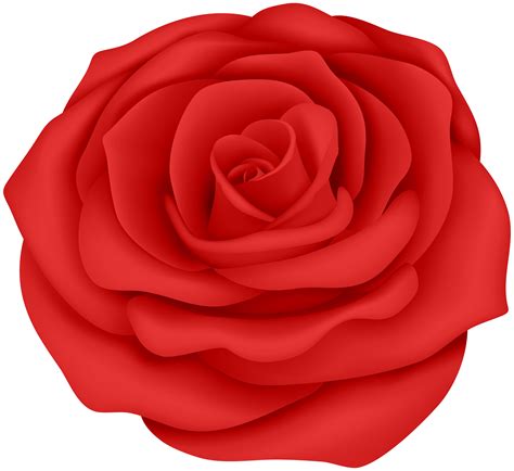 Red Rose Flower Transparent Clip Art Image Gallery