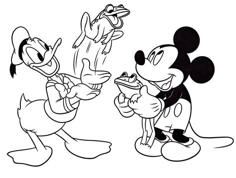 walt disney coloring pages donald duck mickey mouse walt disney 2520 the best porn website