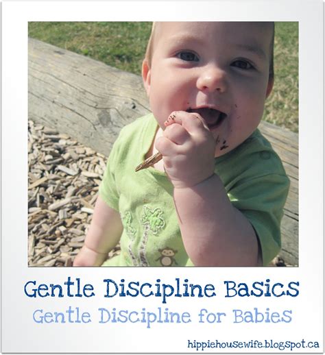 The Hippie Housewife Gentle Discipline For Babies