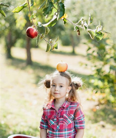 Girl With Apple In The Apple Orchard Stock Image Image Of Apple