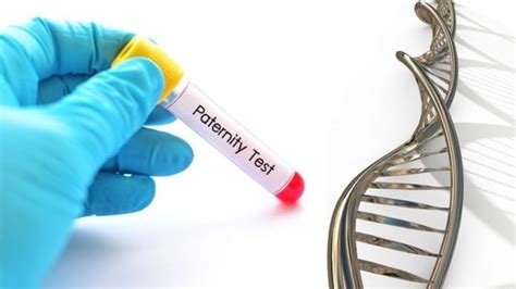 All You Need To Know About At Home Dna Testing Kits For Paternity