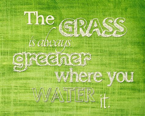 The Grass Is Always Greener Where You Water It Grass Is Always