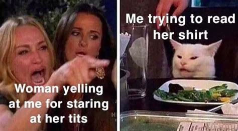 Woman Yelling At Cat Meme Is Still Going Strong 31 Memes