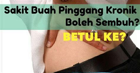 Buah pinggang adalah sepasang organ yang berbentuk kacang berukuran 12cm. A Healthy Living: Pesakit Buah Pinggang Kronik Semakin ...