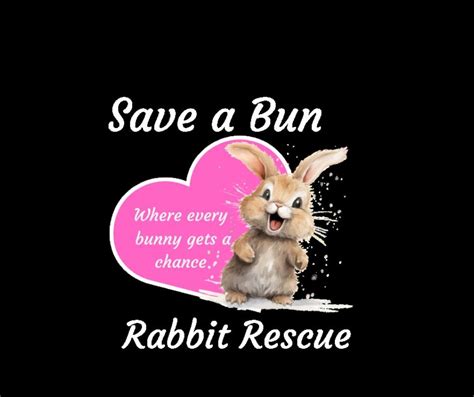 Save A Bun Rabbit Rescue Nampa Id