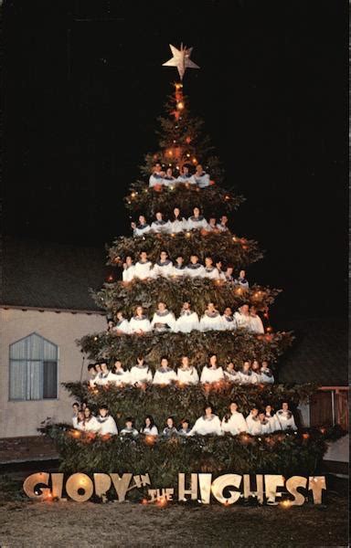 world famous outdoor singing christmas tree chico ca