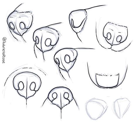 How To Draw A Wolf Nose
