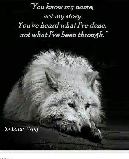Sad Lone Wolf Quotes 450x553 Download Hd Wallpaper Wallpapertip