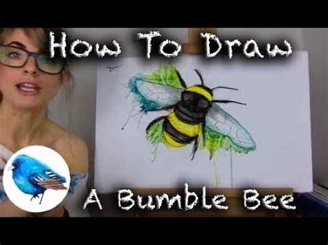 Learn How To Draw A BUMBLE BEE STEP BY STEP GUIDE Age 5 YouTube