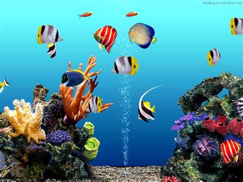 3d Desktop Aquarium Screensaver Mac Free Download